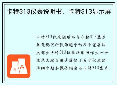 卡特313仪表说明书、卡特313显示屏