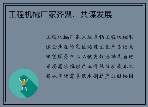工程机械厂家齐聚，共谋发展